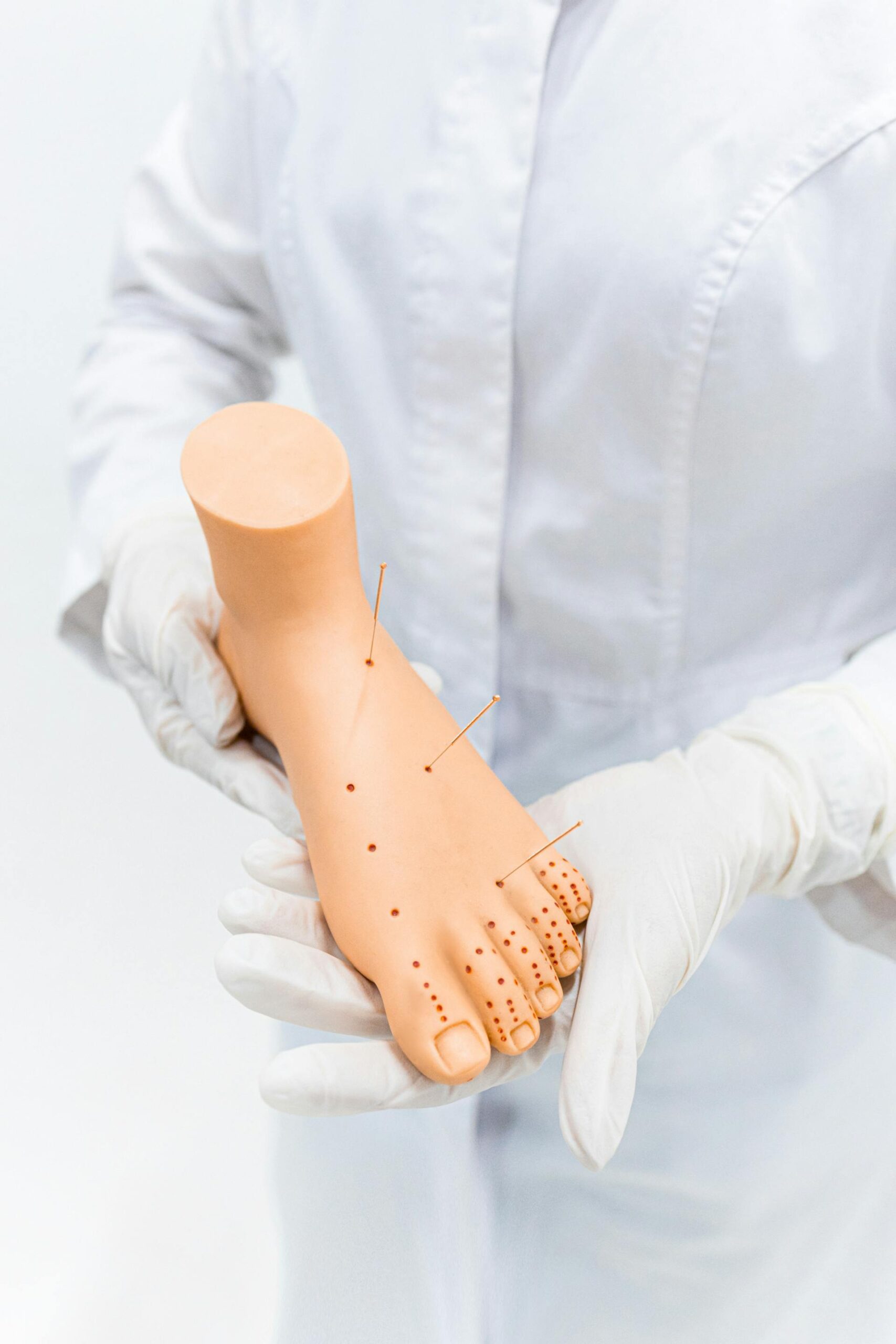 Acupuncture points demonstration for treatments Acupuncture foot model demonstrating acupuncture points used by an acupuncturist in London Ontario for targeted treatment and education